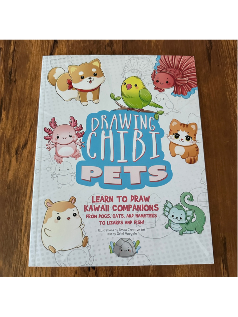 Drawing Chibi Pets Learn to Draw Kawaii Companions Paperback New